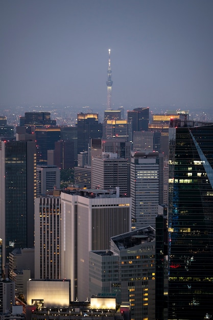 High angle city buildings at nighttime