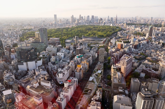 High angle city streets and park