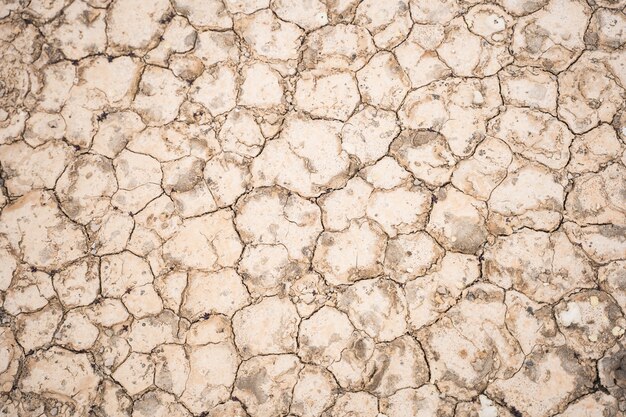 High angle closeup shot of cracked land texture for a background