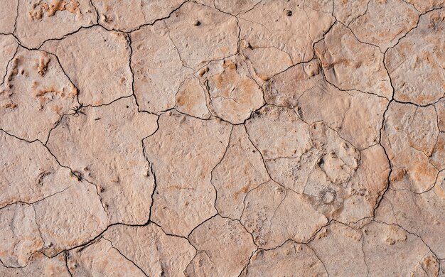 High angle closeup shot of cracked land texture for a background