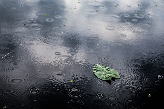 雨の日の窓のクローズアップショット 雨滴が窓を転がり落ちる 無料の写真
