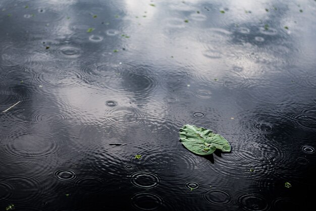 雨の日のかわいい子供plaiyng 無料の写真