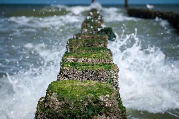 Free photo high angle closeup shot of stones with moss on top leading to the wavy sea