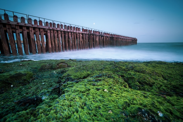 Free photo high angle closeup shot of a wooden fence on the seashore leading to the sea