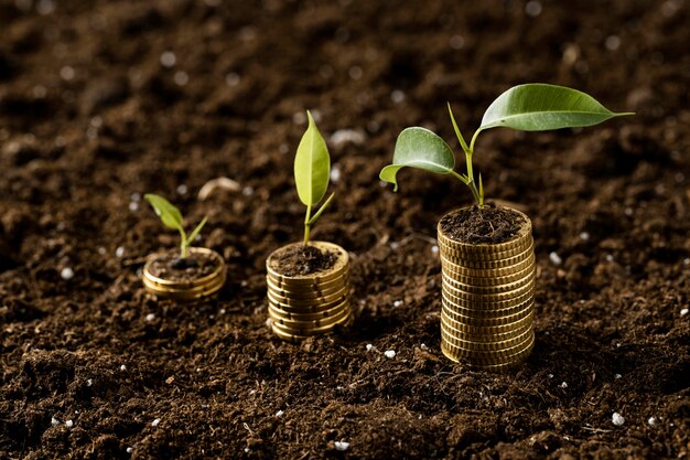 High angle of coins stacked on dirt with plants