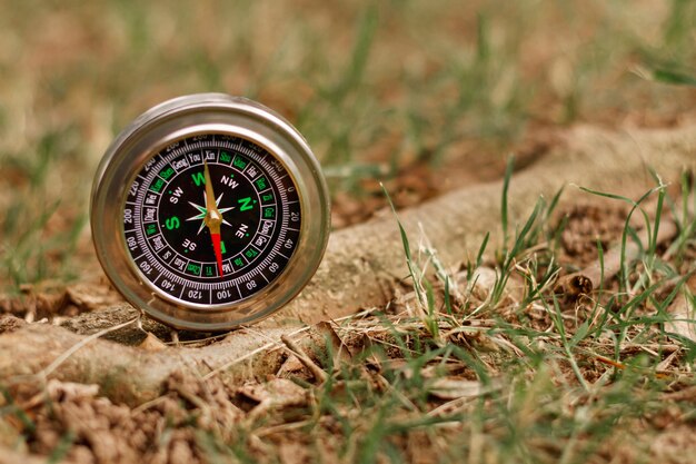 High angle compass in nature