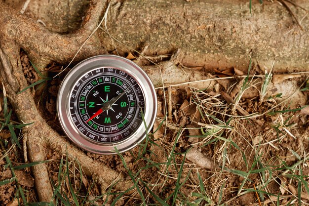 High angle compass next to tree