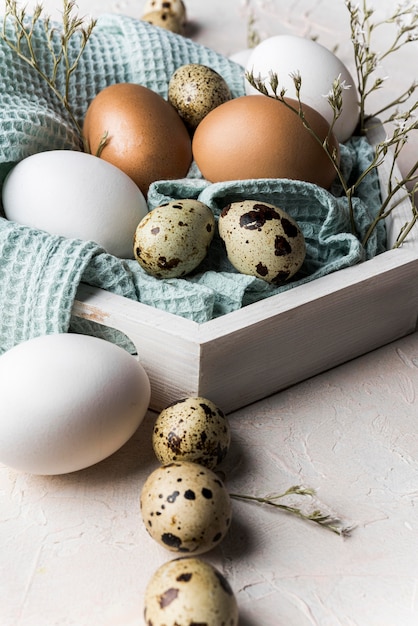 Free photo high angle composition with eggs