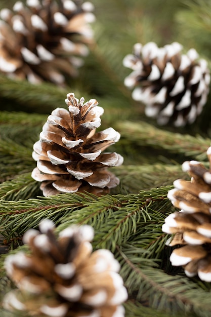 High angle cones and branches arrangement