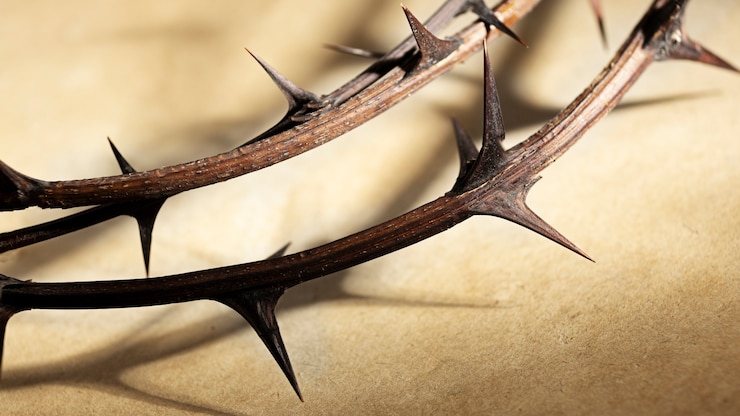 Free Photo high angle crown of thorns still life