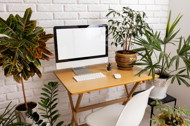 High angle desk assortment and plants