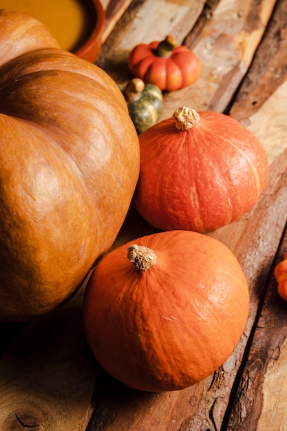 High angle different sized pumpkin