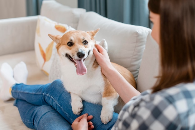 女性の膝の上に座っている犬の高角度