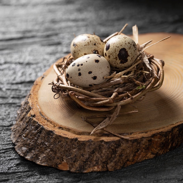High angle of easter eggs in bird nest on top of wooden plank