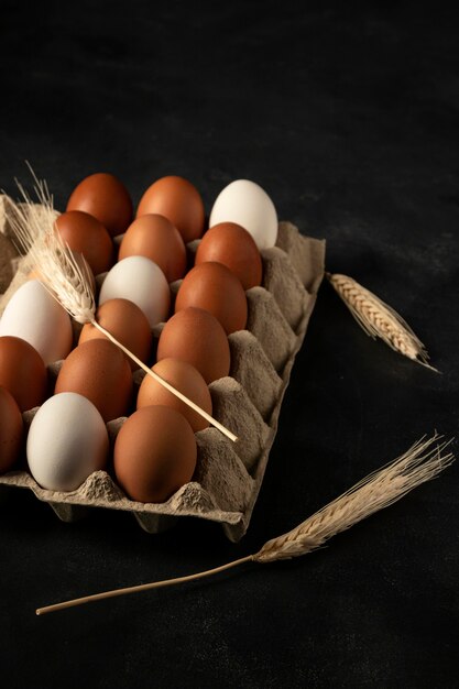 High angle egg carton with wheat