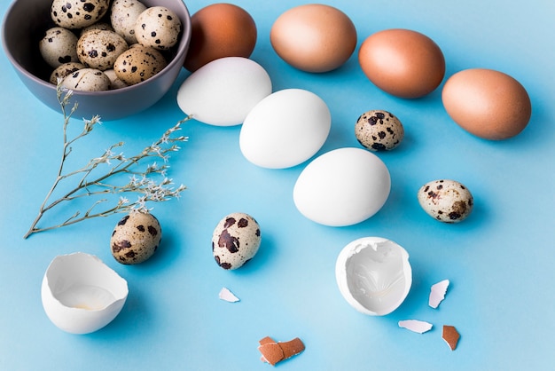 Free photo high angle eggs on blue background