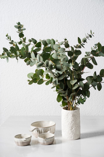 High angle eucalyptus in white vase
