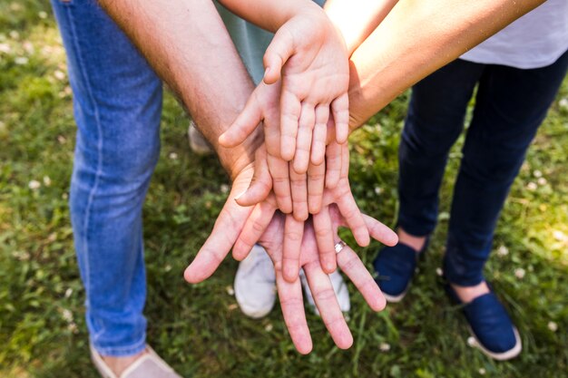 High angle family holding their hands together