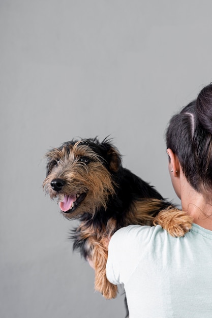 ハイアングル雌保持犬