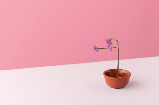 High angle of flower in a flowerpot with copy space