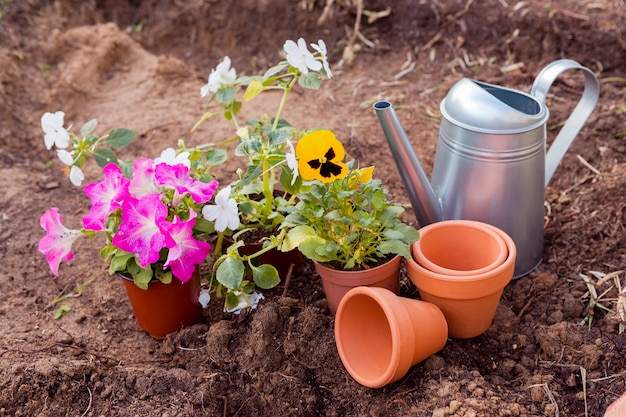 Free photo high angle flower pots on soil with tools