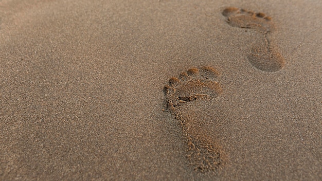 Alto angolo di impronta nella sabbia sulla spiaggia