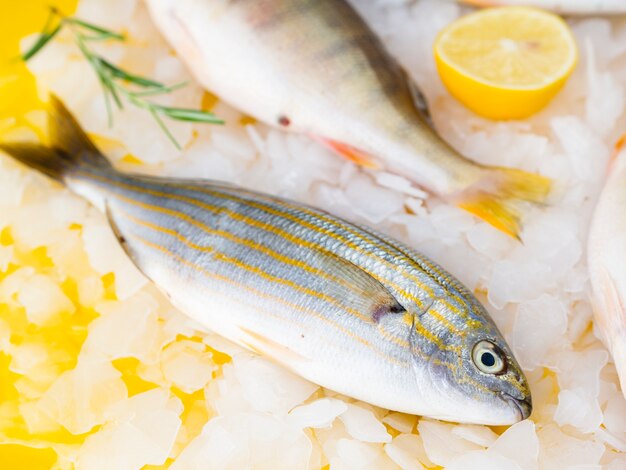 High angle fresh fish on table