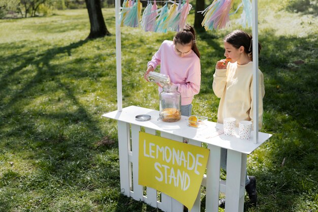 High angle girls making fresh lemonade