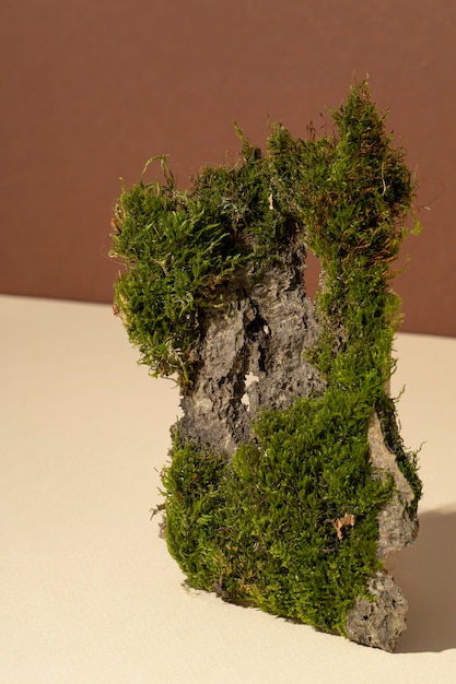 High angle of grass growing on earth podium