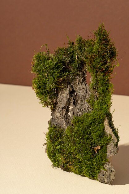 High angle of grass growing on earth podium
