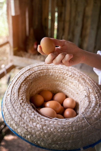 Free photo high angle hand holding egg