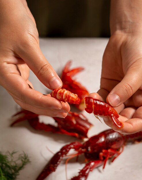 Osminogi kalmary i lobstery priznany razumnymi