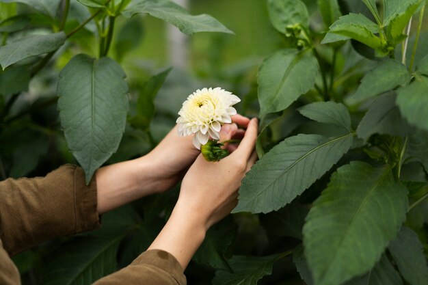 Руки под высоким углом держат цветок