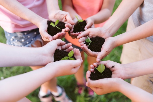 ハイアングルの子供たちがクローバーを植える準備をして