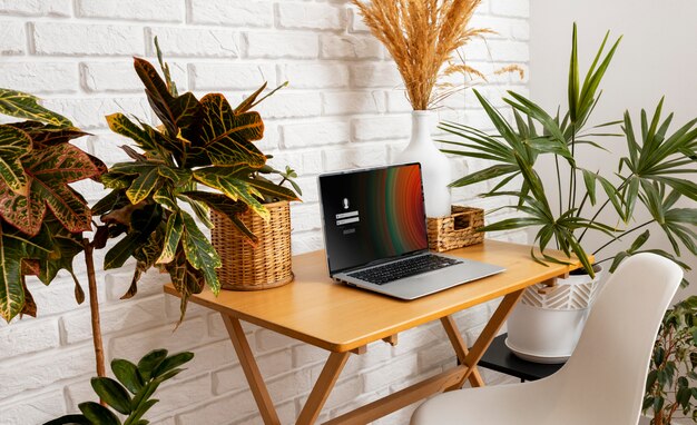 High angle laptop on desk with plants