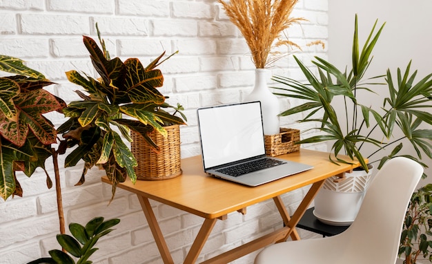 식물이 있는 탁자 위의 하이 앵글 노트북