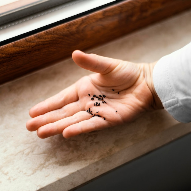 High angle of little child holding dirt for plants in his palm