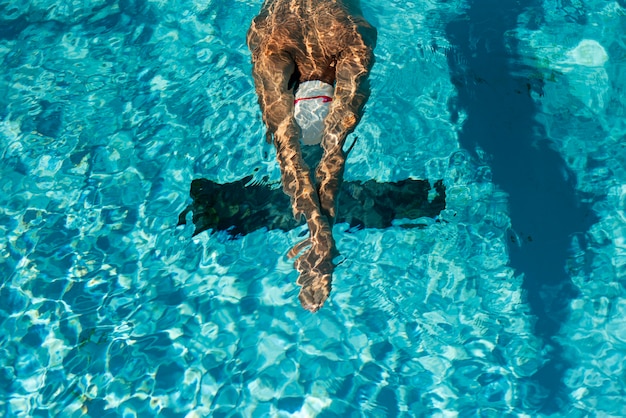 High angle of male swimmer in the water pool