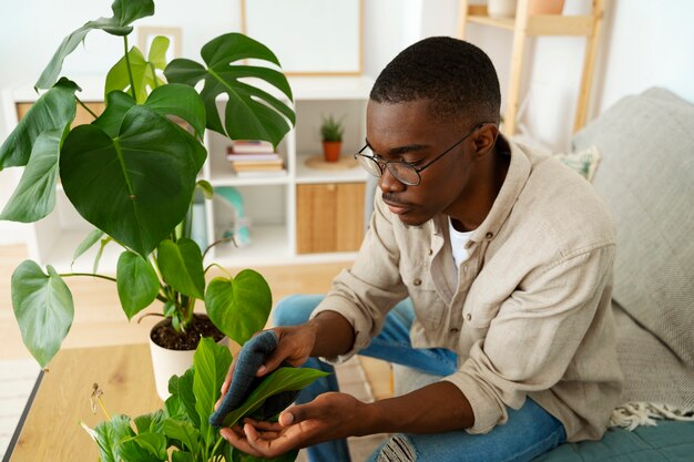 High angle man cleaning plant's leaf