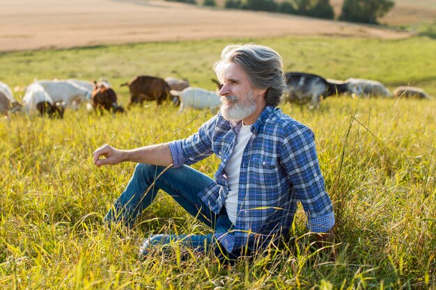 High angle man with goats at farm