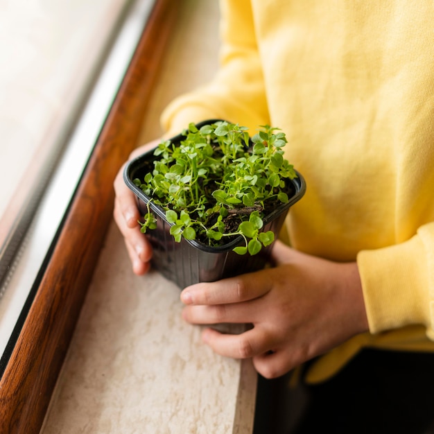 無料写真 家に小さな植物を持つ少女の高角度