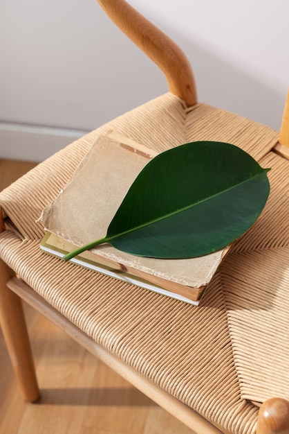 High angle old book and leaf