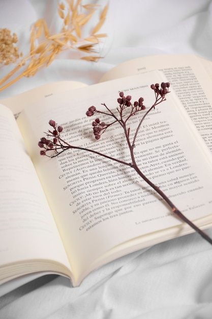 High angle open books and flowers