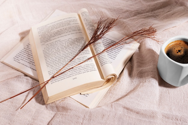 High angle open books and teacup