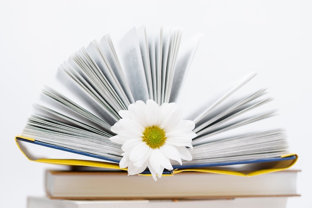 High angle opened book with flower