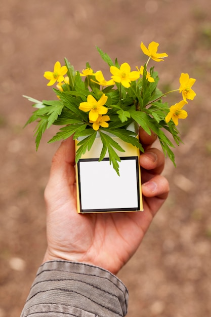 Free photo high angle pack of cigarettes with flowers