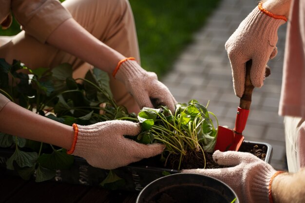 High angle people taking care of plants