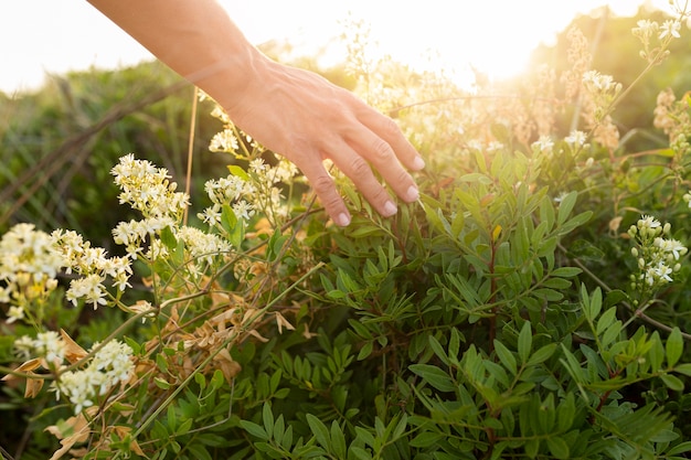 High angle of person running their hands through grass outdoors