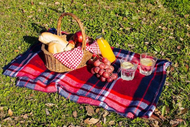 草の上の高角度のピクニックの手配