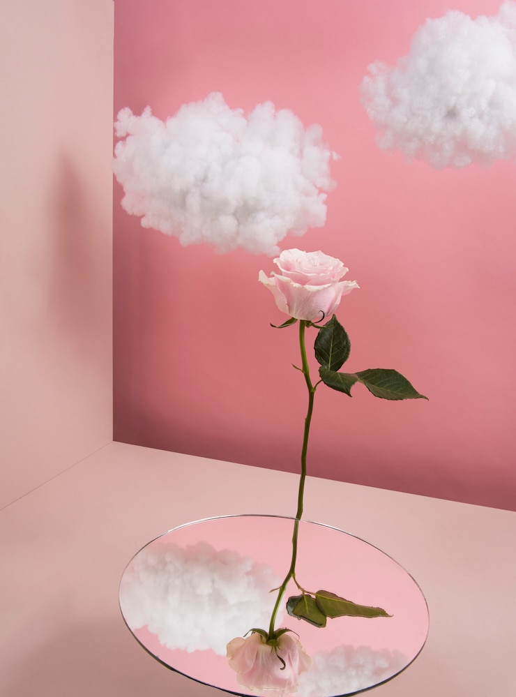 Free Photo high angle pink rose and clouds